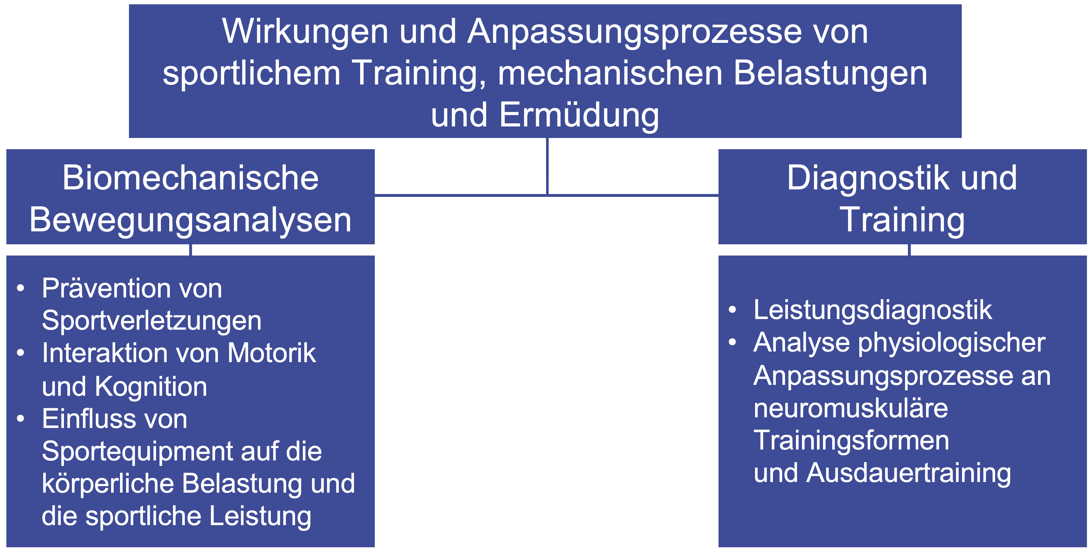 Forschungs UG
